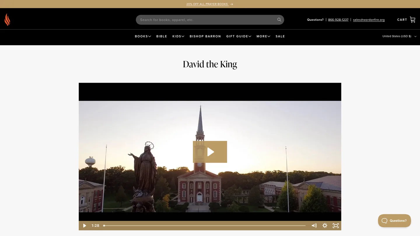 Screenshot of the David the King publisher website